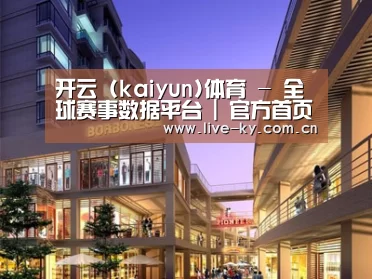 案例展示一